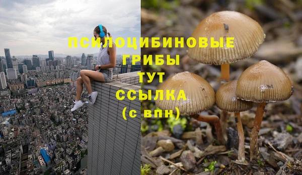 твердый Аркадак