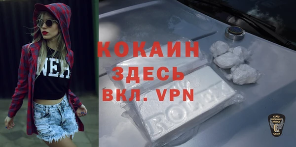 твердый Аркадак