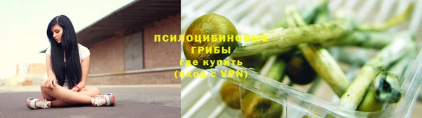 твердый Аркадак