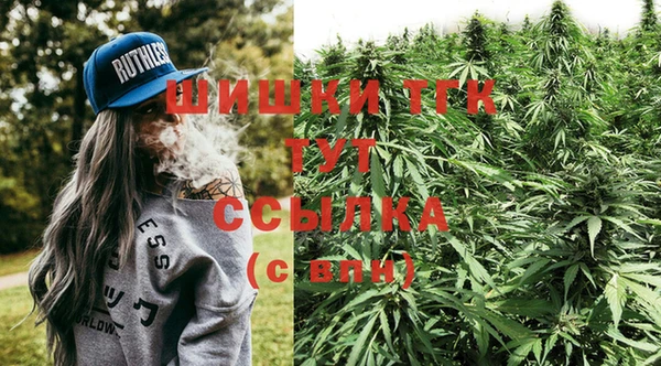 твердый Аркадак