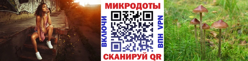 Псилоцибиновые грибы мухоморы  купить  цена  Северобайкальск 
