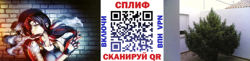 Шишки марихуана White Widow  mega ссылки  Северобайкальск 